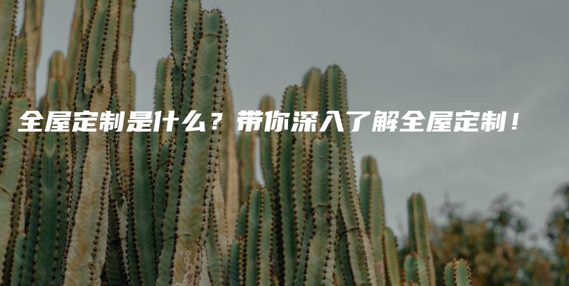 全屋定制是什么？帶你深入了解全屋定制！